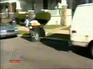 Best Animals Fail Compilation Ever-Chapter 1