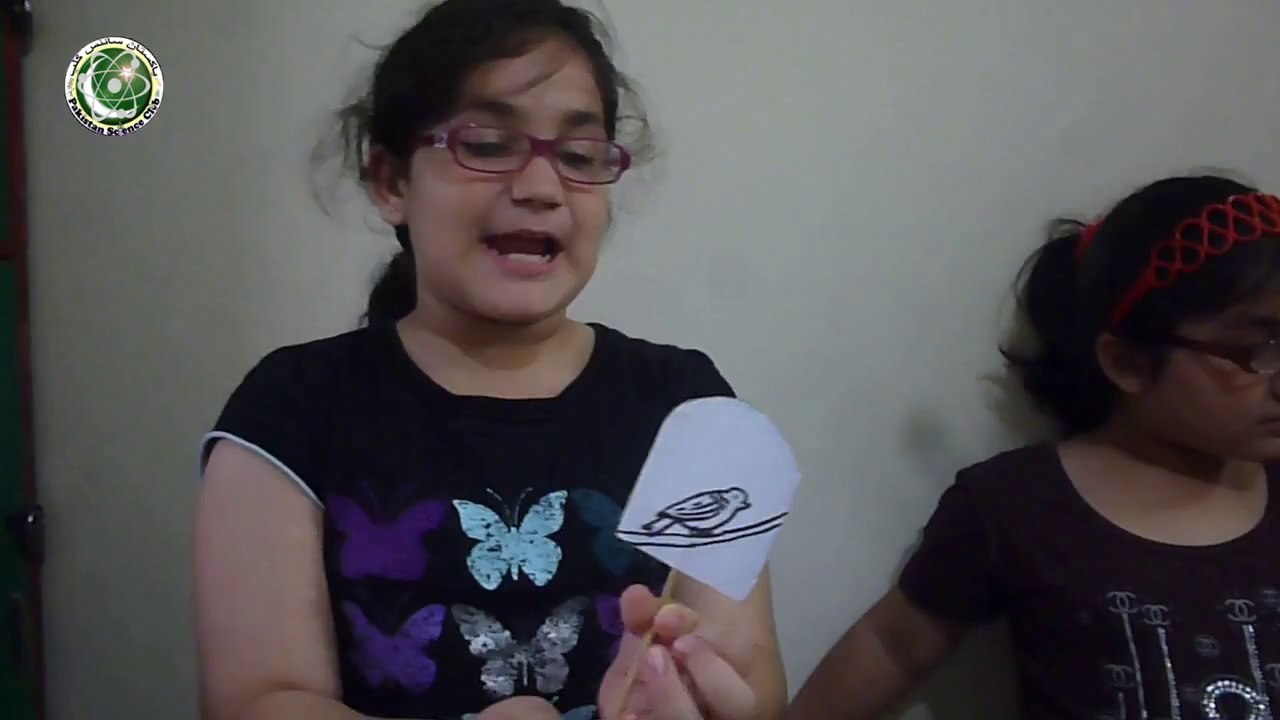 Science summer camp activity Bird in the cage