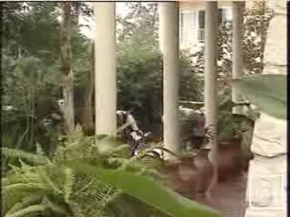 verschave contre-sommet 1994