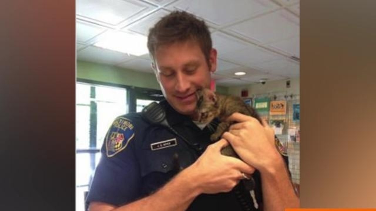 Kitten-Rescuing Cop Becomes Heartthrob of The Internet