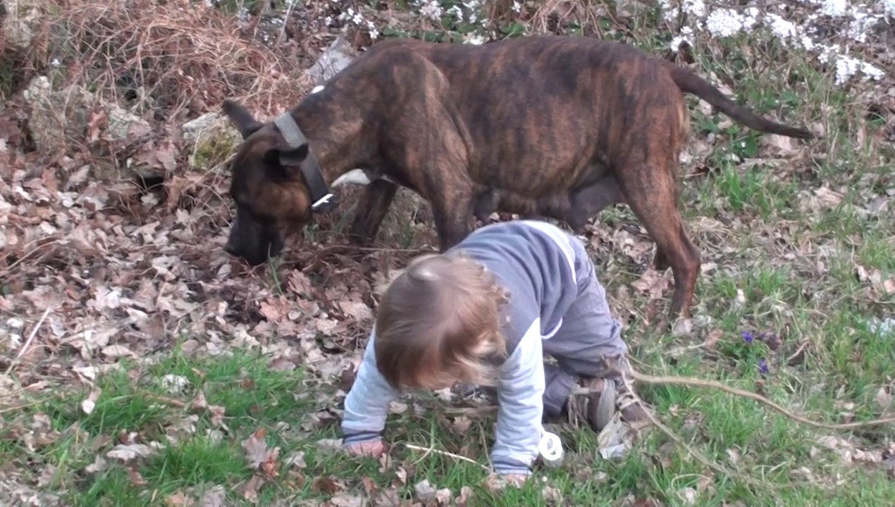 ELFY & GEOFFREY