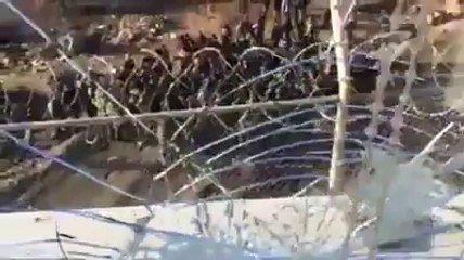 Piedras y Ataques si hay hacia la G.C.