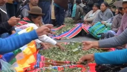 Cocaleros defienden que hoja de coca no es droga ante embajada de EEUU en La Paz