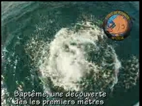 Plongées l'Ecole de Plongée Sétoise