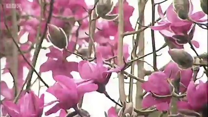 BBC Spotlight - 12/3/14