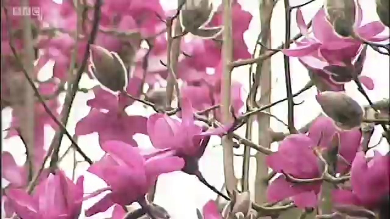 BBC Spotlight - 12/3/14