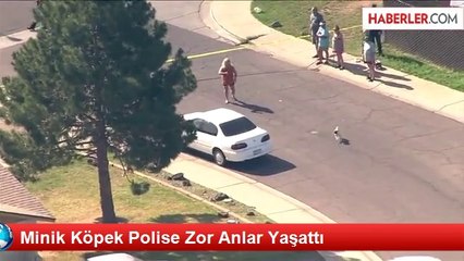 Minik Köpek Polise Zor Anlar Yaşattı