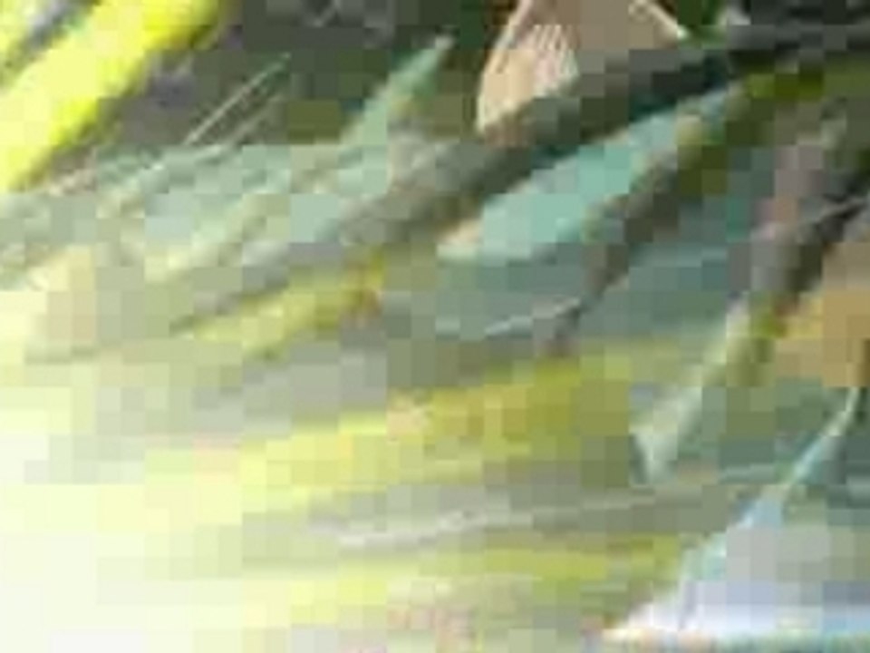 Clips.Saint.Seiya.Hades.Amv.-.Nighwish.-