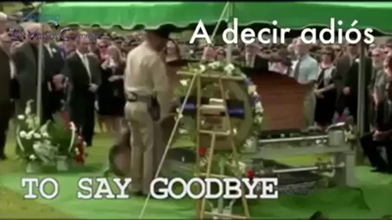 Cosas que nos enseñan los perros