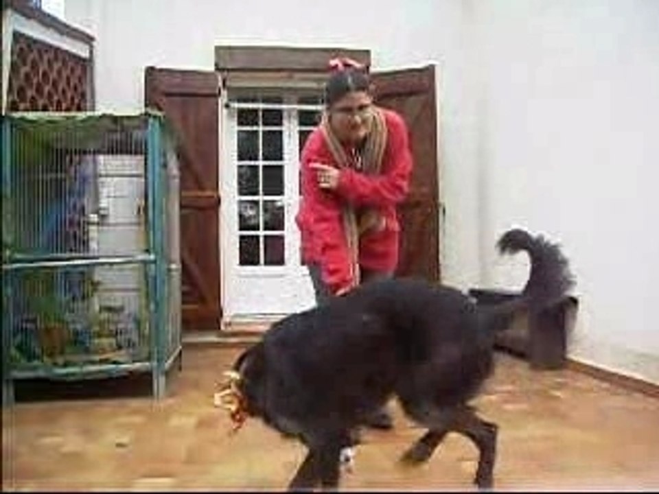 choré 2