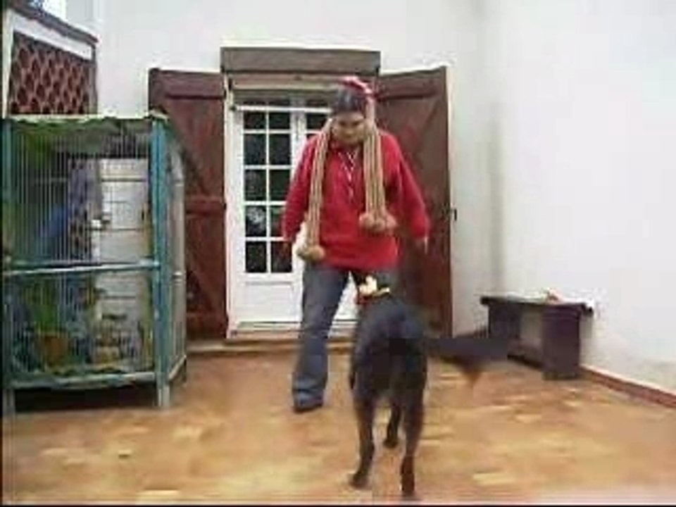 choré 1