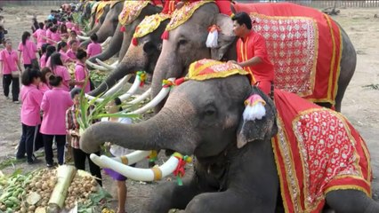 Thailand celebrates 'National Elephant Day'
