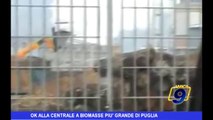 Ok alla Cementeria a biomasse più grande di Puglia