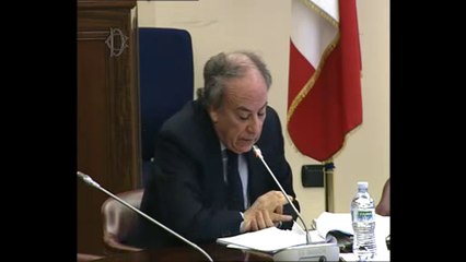 Roma - Politica tributaria e semestre italiano, audizione Franco Gallo (12.03.14)