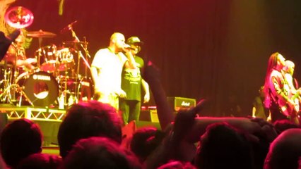 Five Finger Death Punch - Burn Mf - Live - Sidewave 2014