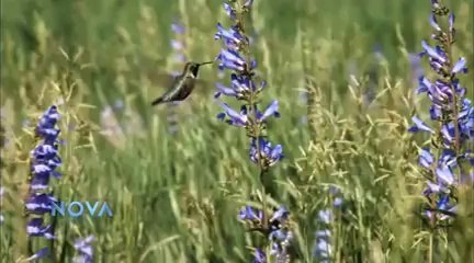 Alien Planets Revealed - 2014