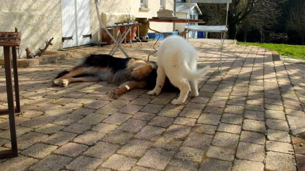 Izeult et Gandhi 12mars14bis