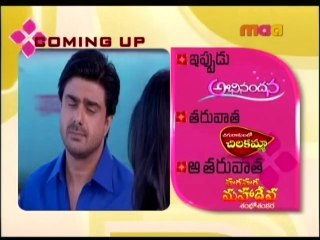 ABN-13th Mar-1