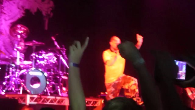 Five Finger Death Punch - The Bleeding - Live - Sidewave 2014