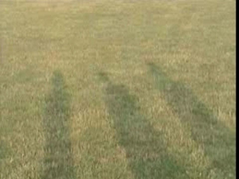 Bande annonce Ma bohème