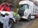 Un poids lourd renversé à Châtillon-en-Michaille : deux bovins tués