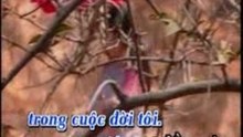 Yeu Lam - Hoang lan