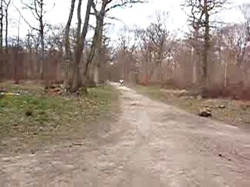 kawasaki KX 80 années 90 refait neuf !!