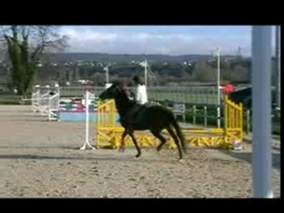 Kr0-lichy
