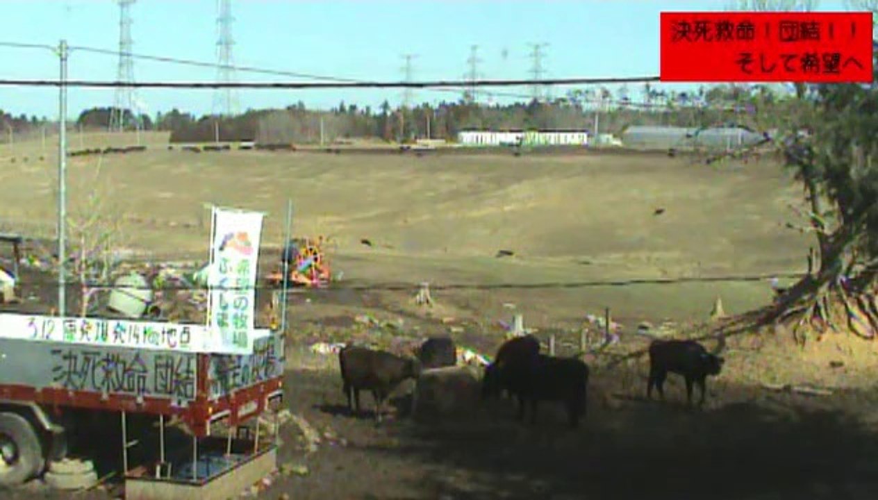 2014-03-09 11-43 牧場１号機　餌とのっかちゃう子