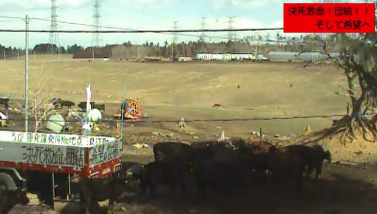 2014-03-10 11-54　牧場１号機　吉沢さんお出掛け？