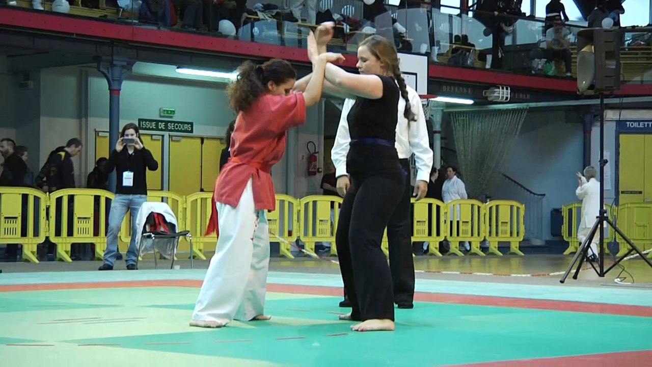 Tuishou : championnat de France 2014
