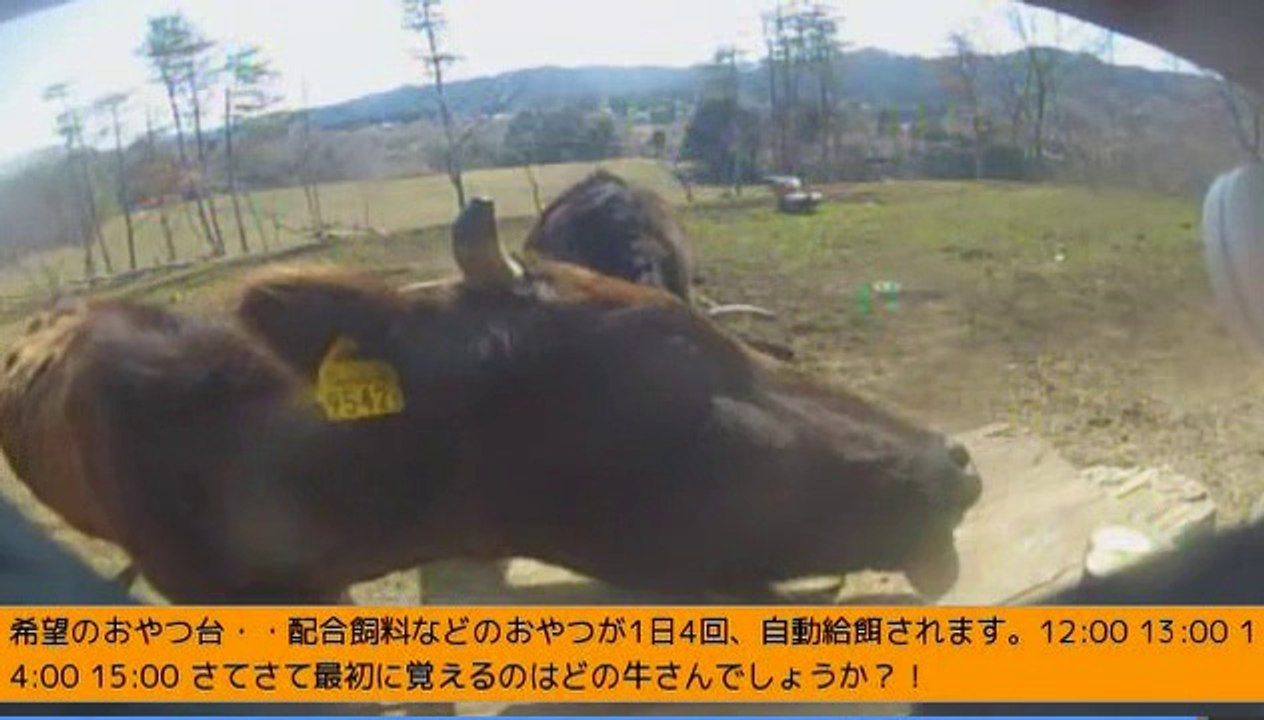 2014-03-09 13-01　牧場３号機　女性ボラさん