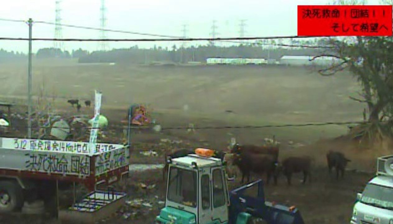 2014-03-13 11-25　牧場１号機　吉沢さん