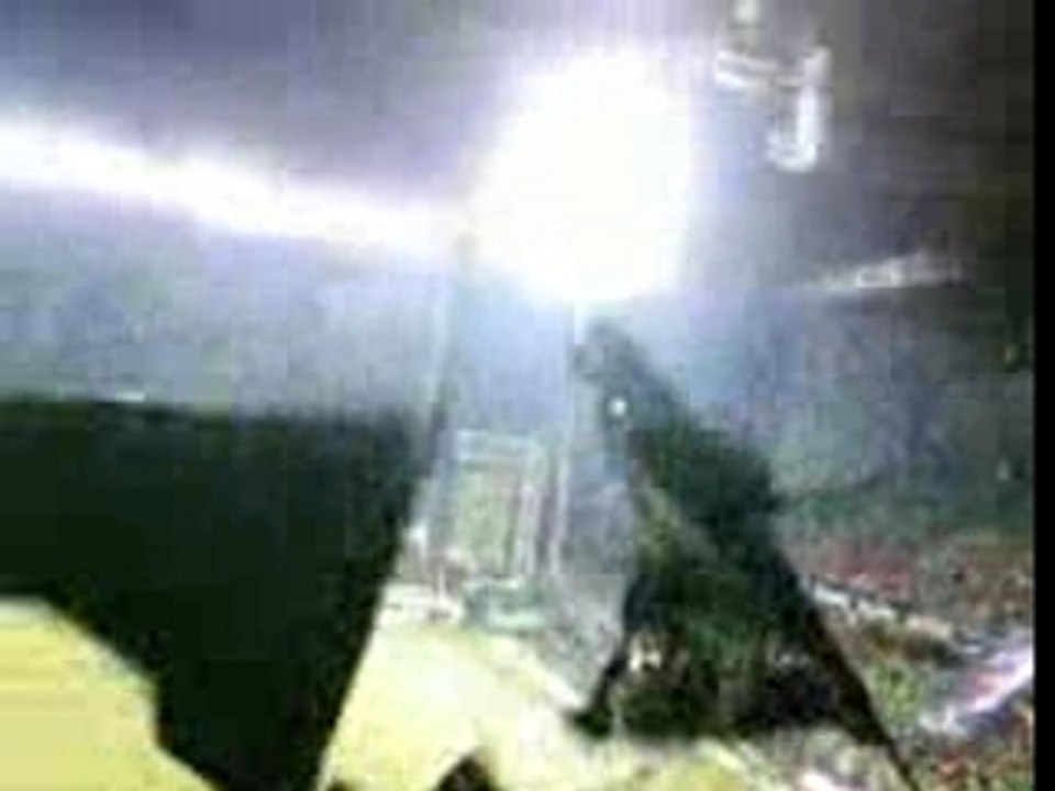 lens lyon tifo geant