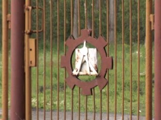 55. Czesław Olejnik