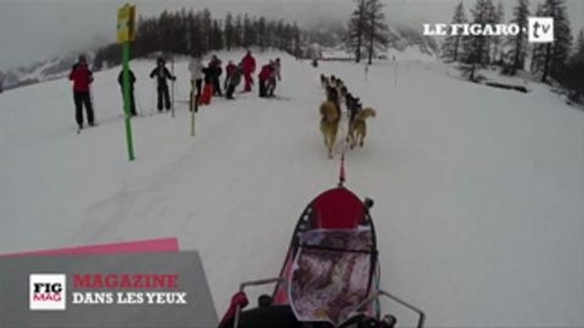 Dans les yeux... d'un musher, conducteur de chiens de traineaux