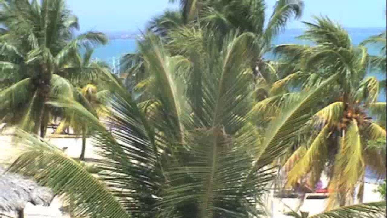 Belize Vacations - Luxury Accommodatio at Almond Beach Resort | Solis Escapes