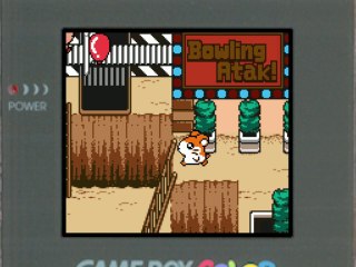 Hamtaro : Bienvenue au Club ! (Parte 10)