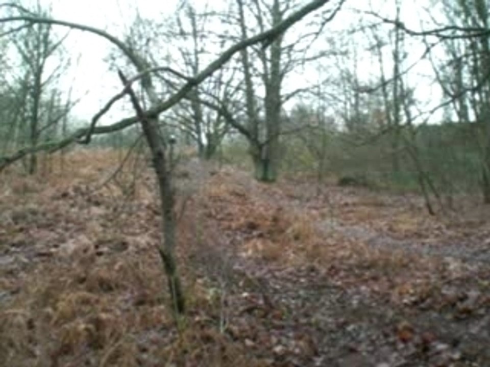 CIMG0969