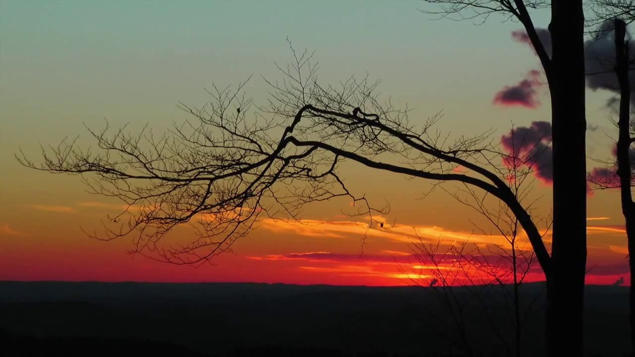 Twilight Impressions