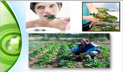 TIPS PARA REVERTIR LA DIABETES RAPIDAMENTE