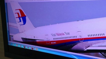 Aviation expert considers missing flight theories