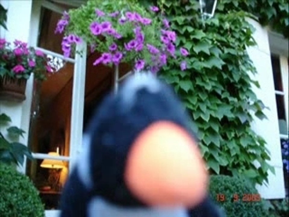 TOXPINGUIN