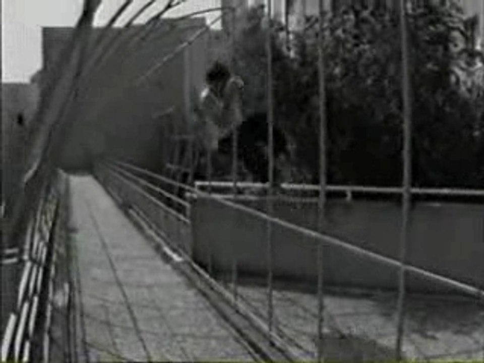 pArKOUR Speed-Air-Man_David-BELLE