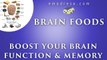 Brain Foods for Boosting Brain Function and Memory with Dr Aqsa Javed in URDU