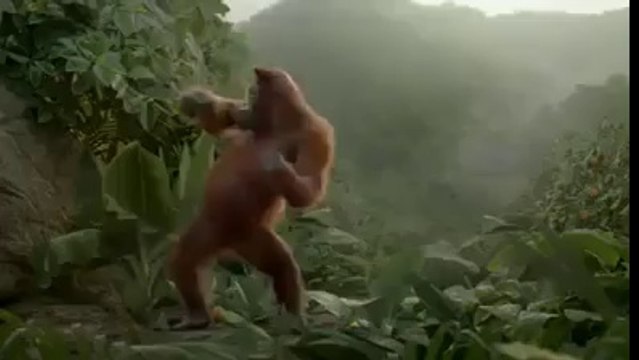 I Like To Move It - Monkey Dance!! LOL