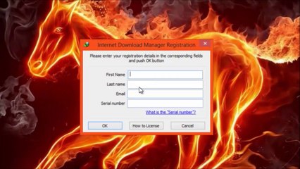 Internet Download Manager(IDM) v1.69 Build 2 (LATEST) + CRACK 100% Life Time Active.