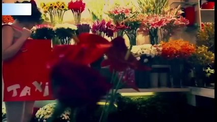 Taxi - Thu Minh[Official]