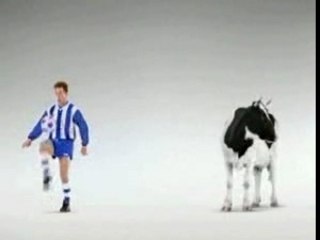 vache foot