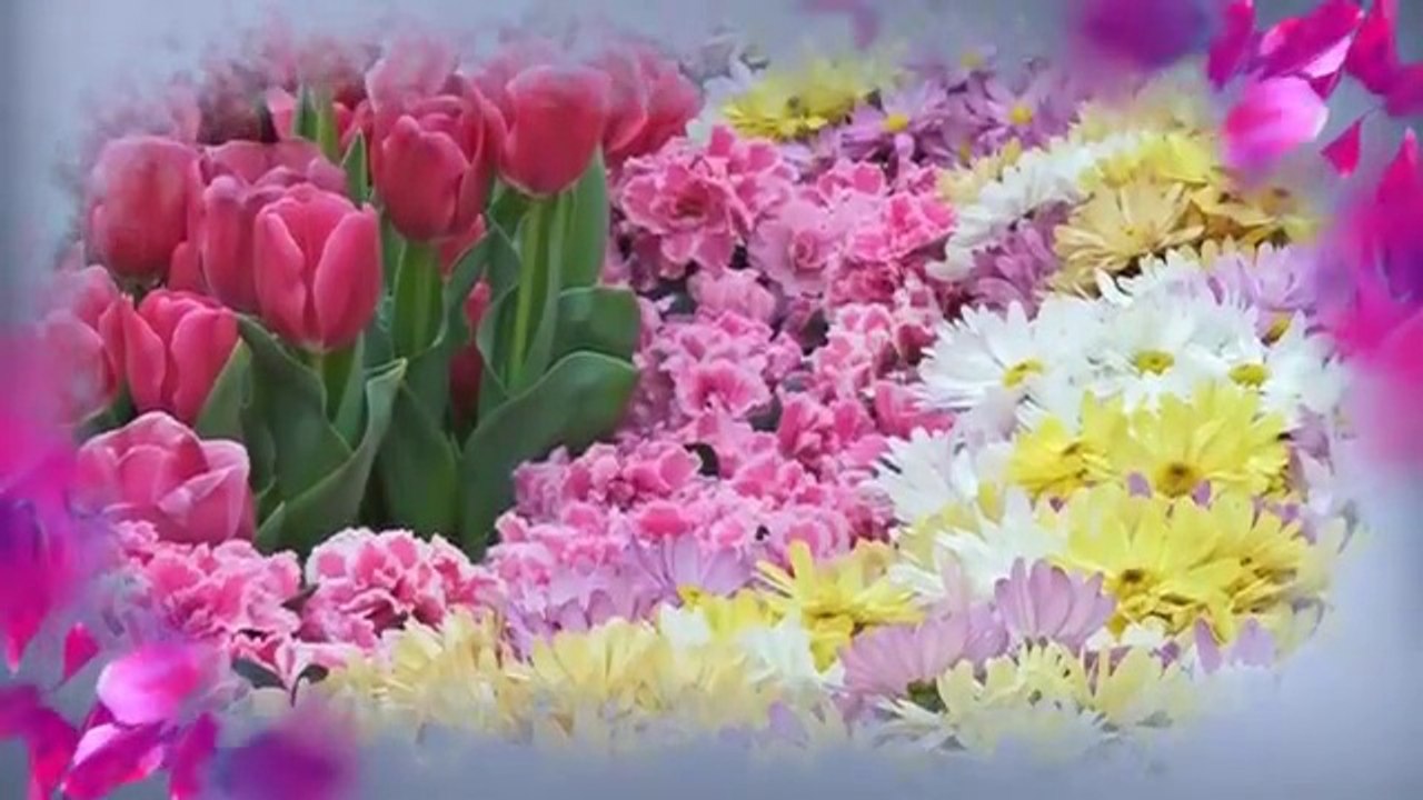 Gorgeous Flowers